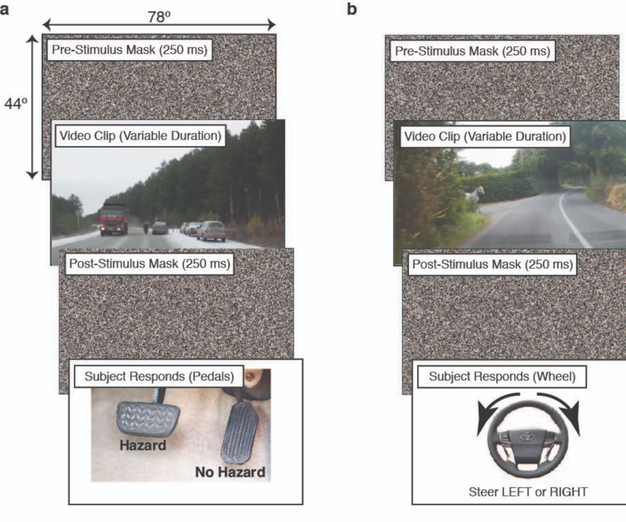 TRI Sponsors MIT Research into Human Response Time to Road Hazards