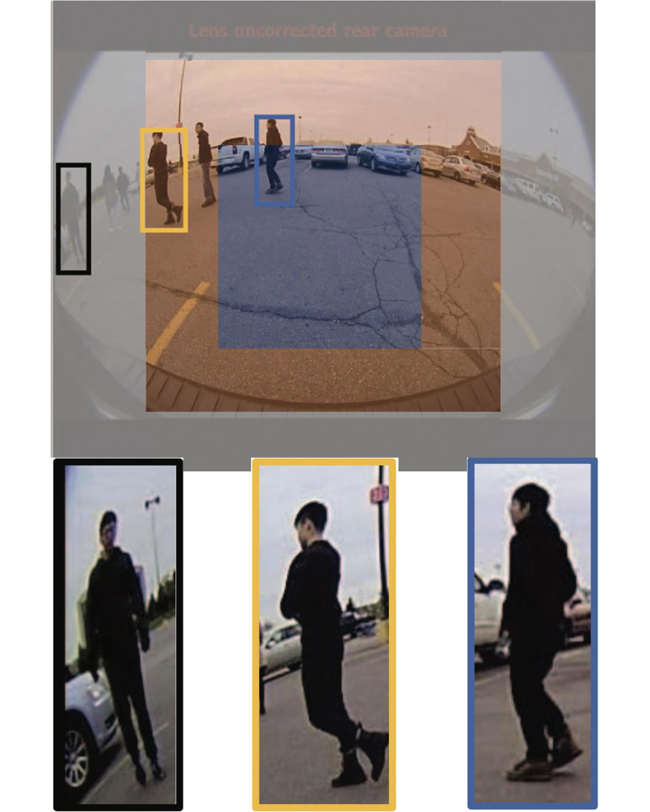 Spatial Focal Loss for Pedestrian Detection in Fisheye Imagery