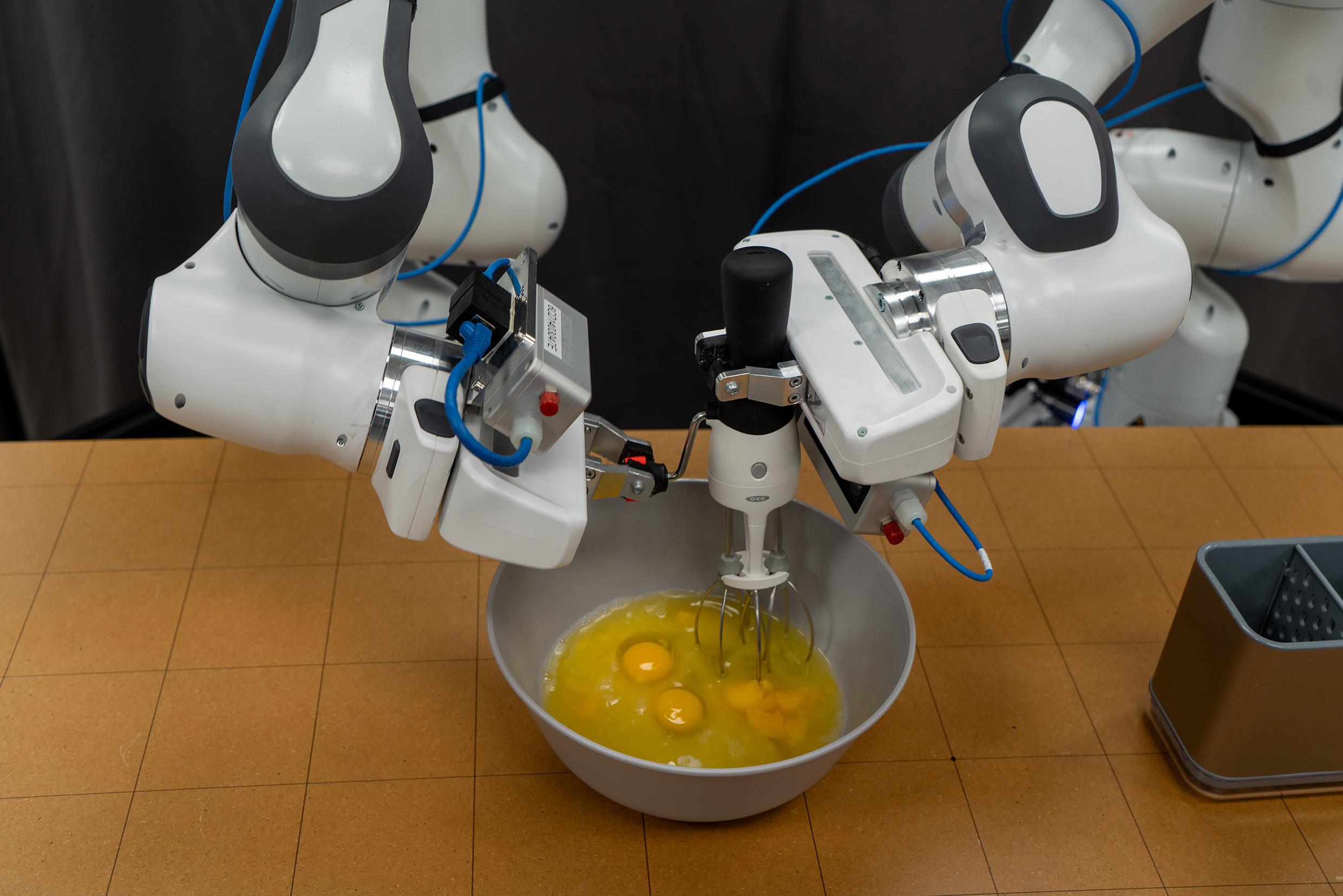 robotics diffusion policy autonomous whishing eggs