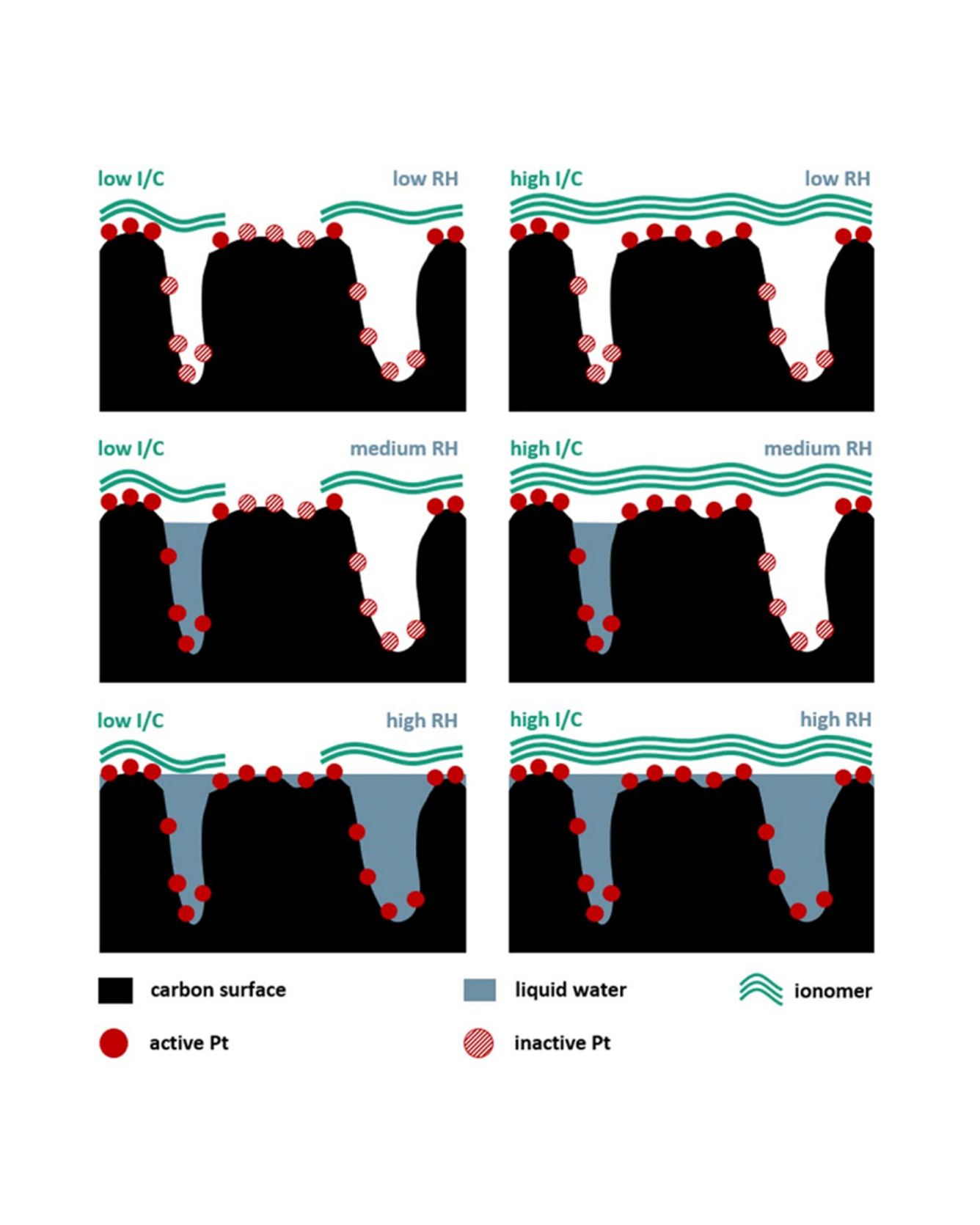 Schematic of the expected impact of I/C ratio and RH on an electrode surface at begin of test.