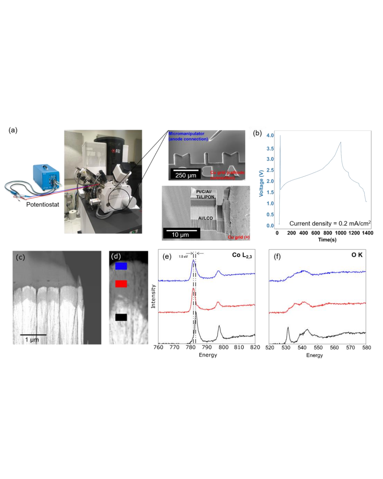 Experimental set-up of ex-situ biasing using a low-current potentiostat as the power source connected to the FIB instrument via an attached port