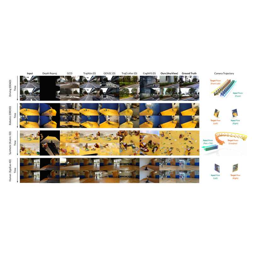 AnyView diffusion framework