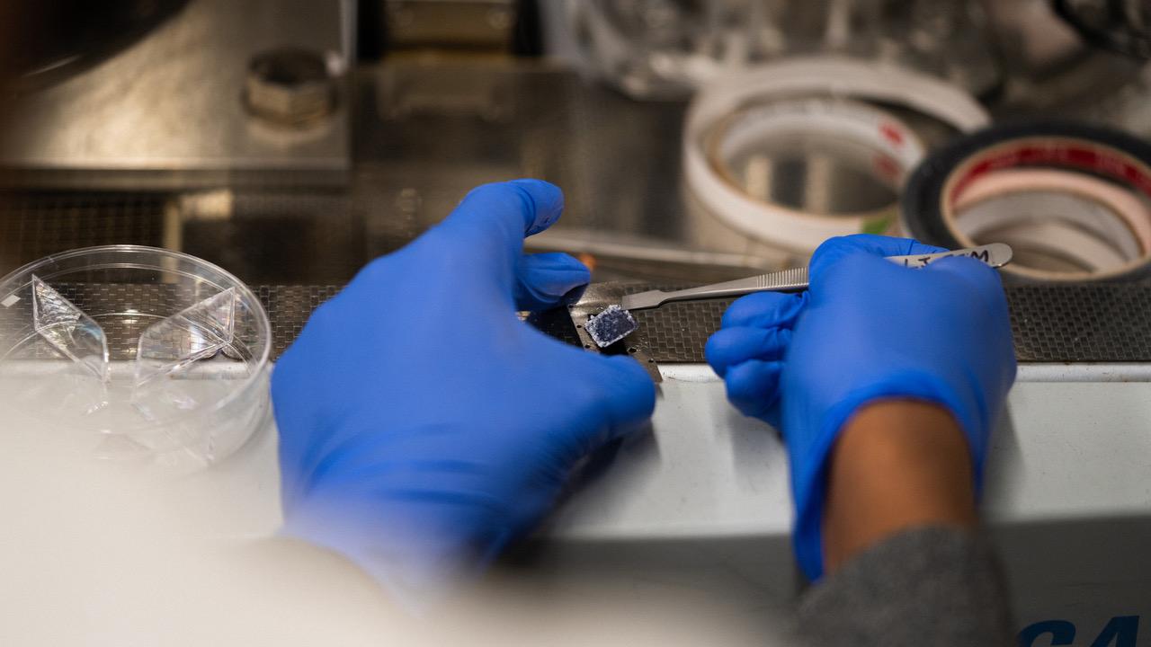 researcher hands with chip